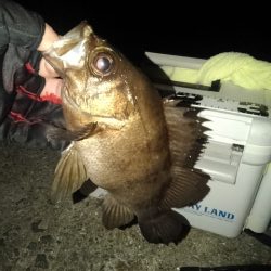 フロートゲーム