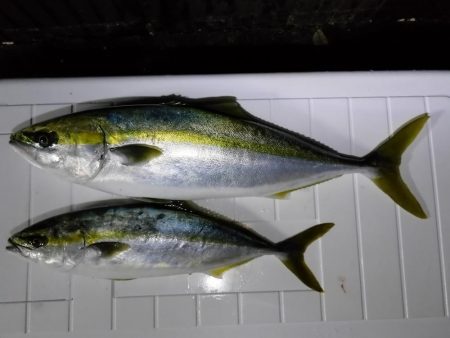 久々のオフショア