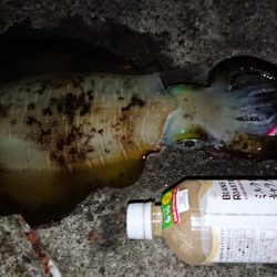 初キロアップならず