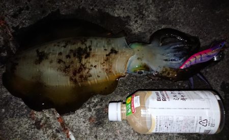 初キロアップならず