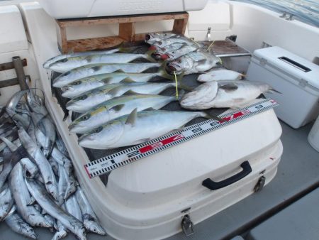 遊漁船SOUTH(サウス)12/5釣果