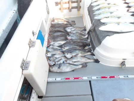 遊漁船SOUTH(サウス)12/7釣果