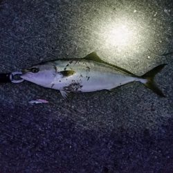 夕方のプチsalt water game!