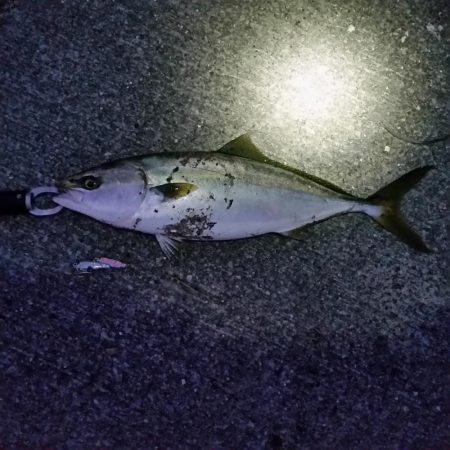 夕方のプチsalt water game！…