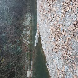 芥川マス釣り場