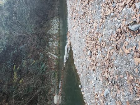 芥川マス釣り場