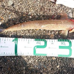 会社の友達と3人で