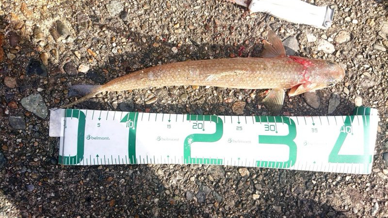 会社の友達と3人で