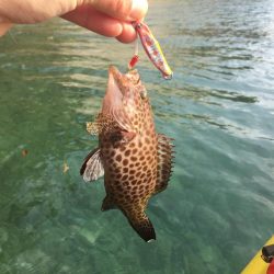 五島A.P.Pカヤックフィッシング