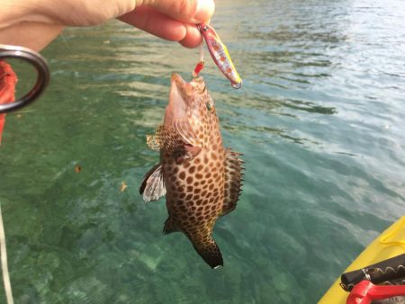 五島A.P.Pカヤックフィッシング