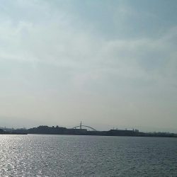 サゴッシング３