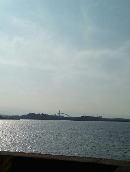 サゴッシング３