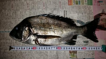 紀州釣りができず、慣れない浮きふかせに挑戦
