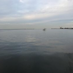 朝の地合い狙い