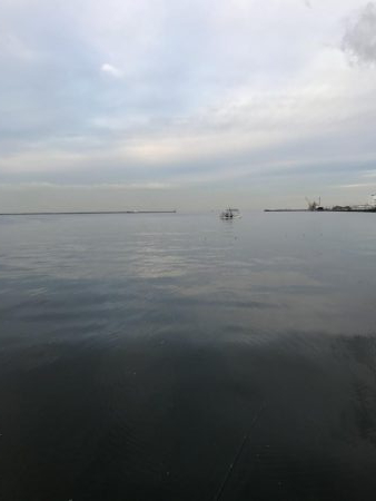 朝の地合い狙い