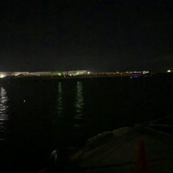 Humiliation（屈辱）