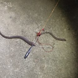 今年最後の釣行？