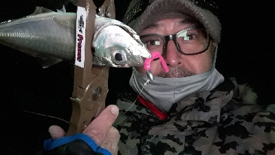 久しぶりのボートアジング