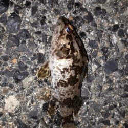 ロックマン魂炸裂