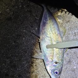 フロートアジング