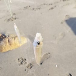 今年最後の釣行！