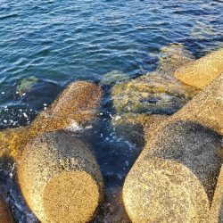 リフト&フォール