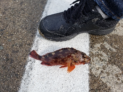 比較的暖かい日