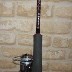 エソのみ_(┐「ε:)_ｺﾃｯ