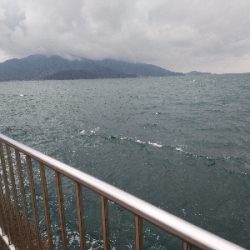 雪降る前に滑り込みサゴシ