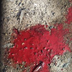 3連ボウズからの当たり日