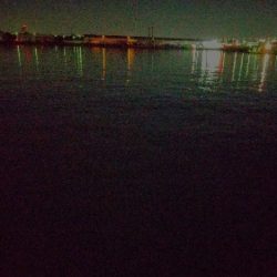 おそらく釣り納め