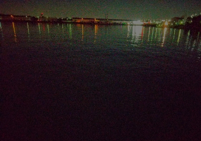 おそらく釣り納め