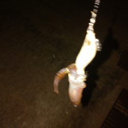 激シブヒイカゲーム