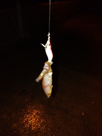 雨降りヒイカゲーム