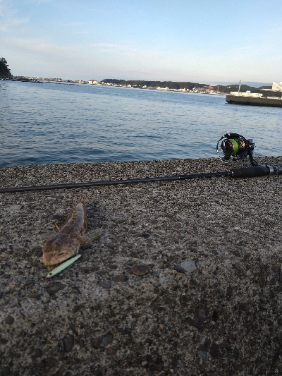 年内釣り納めにスーパーライトショアジギング
