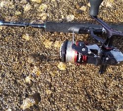 釣り納めエギング