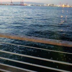 ドラゴンではないが