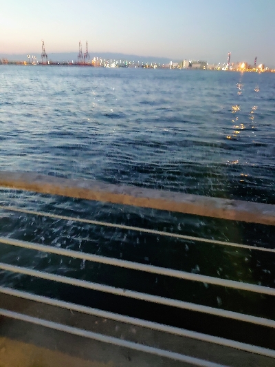 ドラゴンではないが