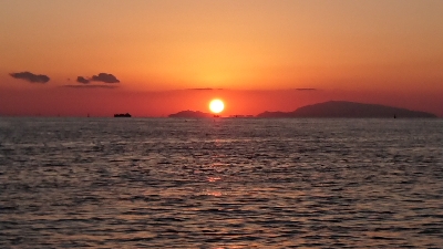 １日粘りましたが