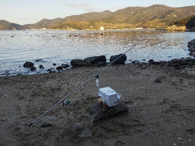 室津のキス釣り