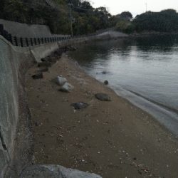 室津のキス釣り