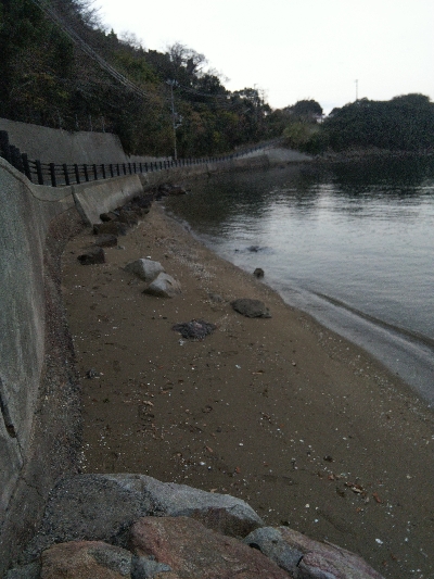 室津のキス釣り