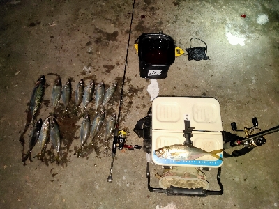 雰囲気読まない奴