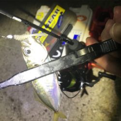 満月大潮アジング