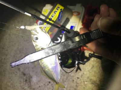 満月大潮アジング