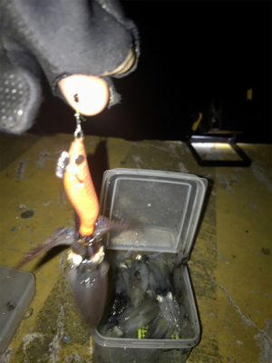 地合いは突然＼(^o^)／