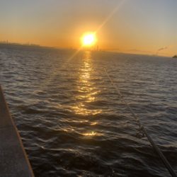 連日の釣果を見て…