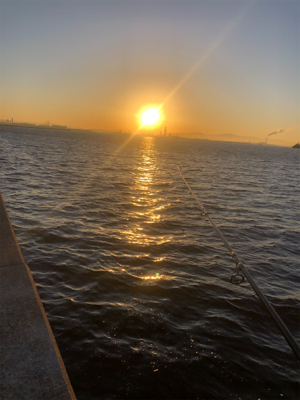 連日の釣果を見て…