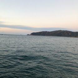 今年のエギング納め