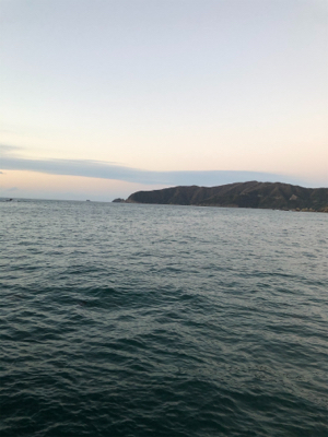 今年のエギング納め